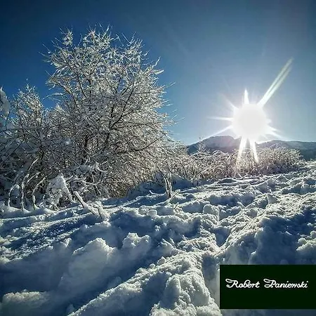 Willa Owieczka * Zakopane